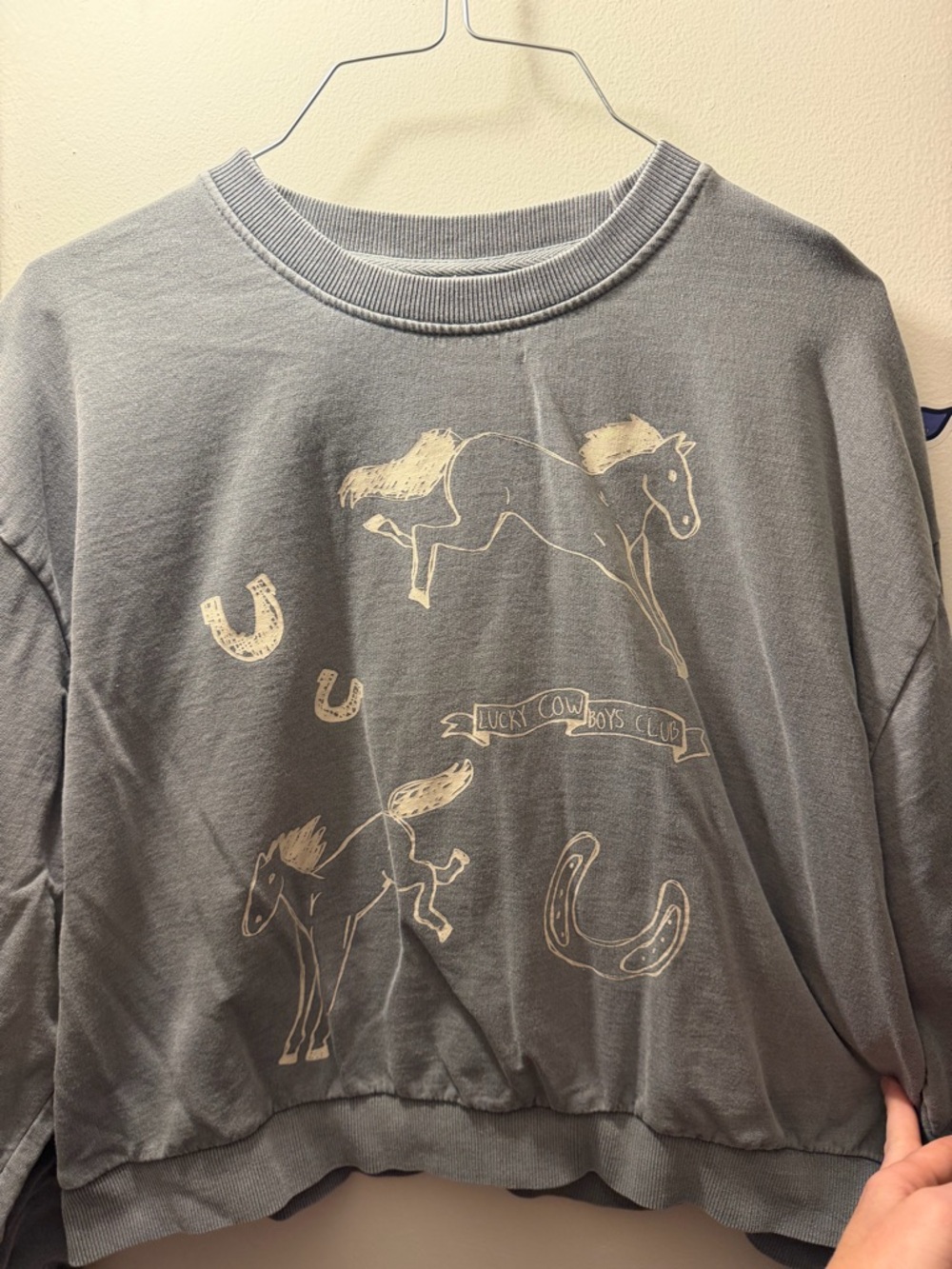 Blue Horse Graphic Crewneck Sweatshirt